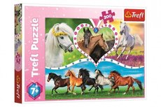 Trefl Puzzle Kone 200 dielikov 48x34cm